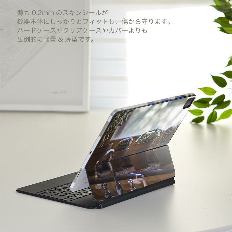 Magic Keyboard 用 スキンシール 11インチ iPad Pro用 第1-4世代 iPad Air 第4-5世代 対応 全面スキンシール フル 前面 背面 保護シール 人気 023053 サボテン　植物　写真
