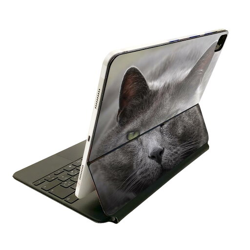 Magic Keyboard 12.9インチ iPad Pro(第4世代、第5世代、第6世代)対応 apple アップル アイパッド 全面スキンシール フル 前面 背面 保護シール 人気 猫 動物 写真 002650 Magic Keyboard 12.9インチ iPad Pro(第4世代、第5世代、第6世代)対応 apple アップル アイパッド 全面スキンシール フル 前面 背面 保護シール 人気 猫 動物 写真 002650