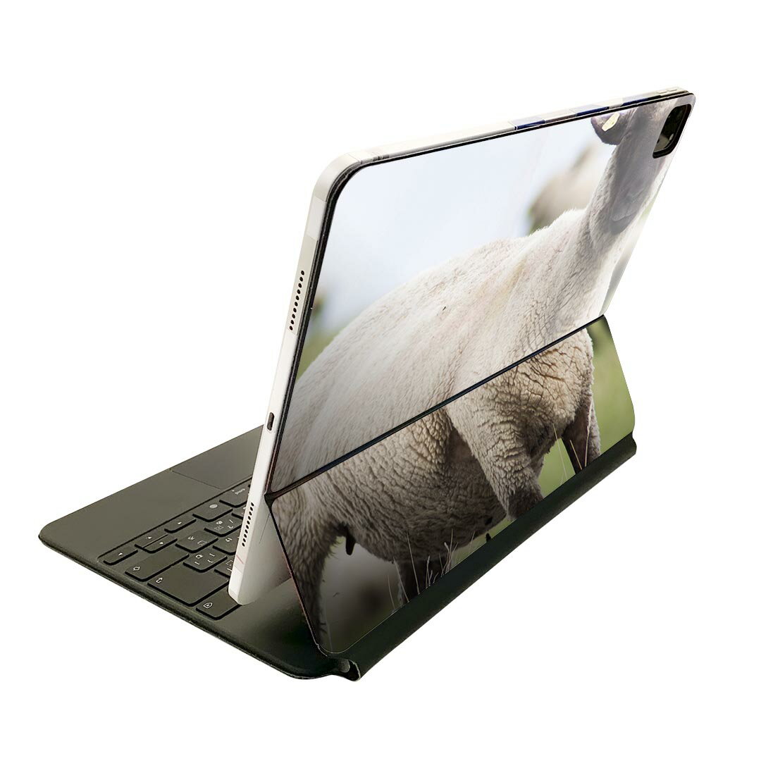 Magic Keyboard 用 スキンシール 11インチ iPad Pro用 第1-4世代 iPad Air 第4-5世代 対応 全面スキンシール フル 前面 背面 保護シール 人気 002653 ひつじ　動物　写真