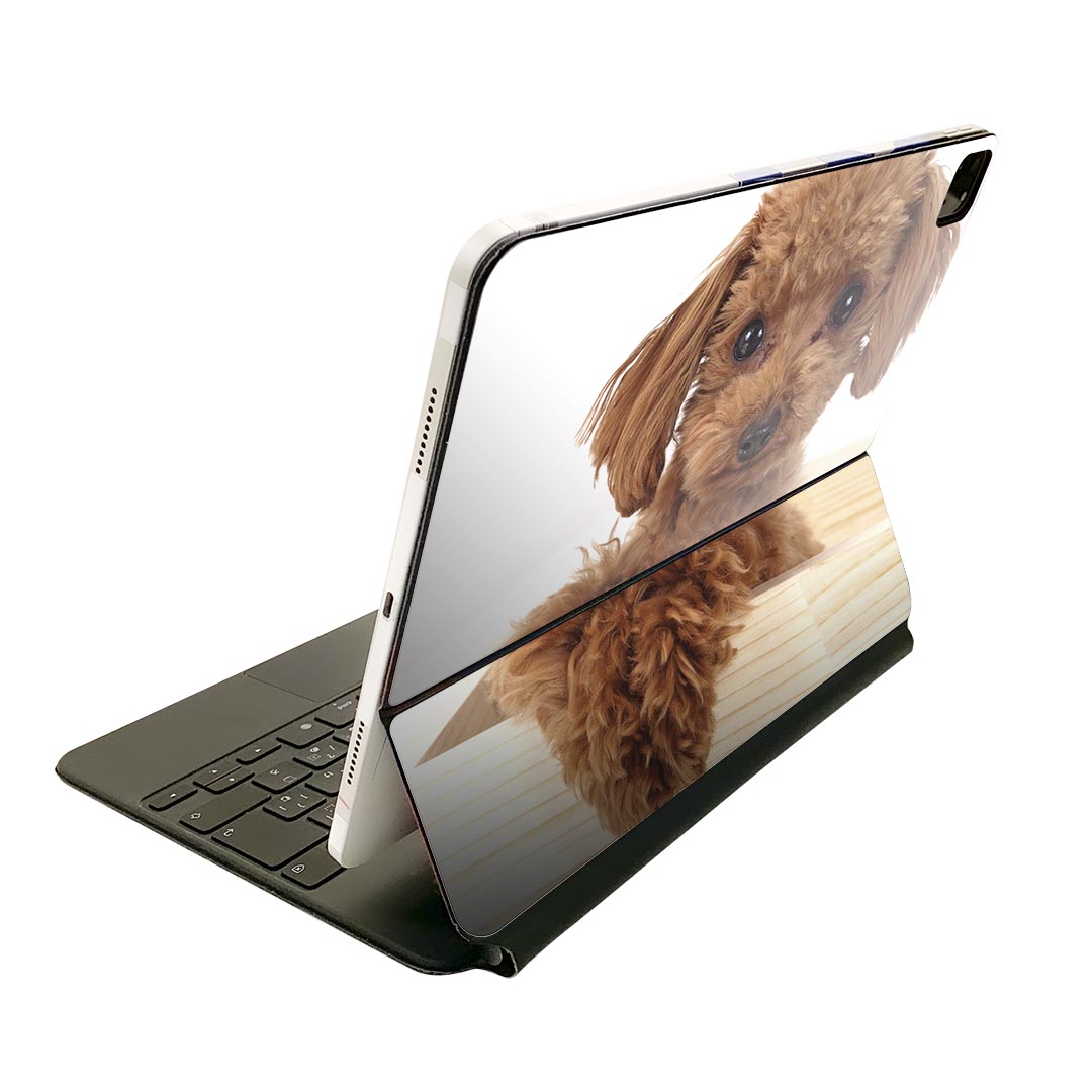 Magic Keyboard 用 スキンシール 11インチ iPad Pro用 第1-4世代 iPad Air 第4-5世代 対応 全面スキンシール フル 前面 背面 保護シー..