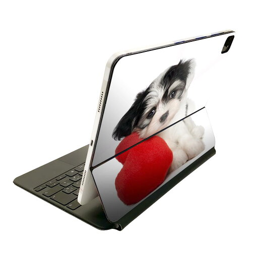Magic Keyboard 用 スキンシール 11インチ iPad Pro用 第1-4世代 iPad Air 第4-5世代 対応 全面スキンシール フル 前面 背面 保護シール 人気 002793 犬 動物 写真 Magic Keyboard 用 スキンシール 11インチ iPad Pro用 第1-4世代 iPad Air 第4-5世代 対応 全面スキンシール フル 前面 背面 保護シール 人気 002793 犬 動物 写真