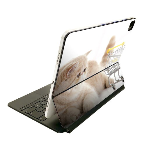 Magic Keyboard 用 スキンシール 11インチ iPad Pro用 第1-4世代 iPad Air 第4-5世代 対応 全面スキンシール フル 前面 背面 保護シール 人気 002908 猫 動物 写真 Magic Keyboard 用 スキンシール 11インチ iPad Pro用 第1-4世代 iPad Air 第4-5世代 対応 全面スキンシール フル 前面 背面 保護シール 人気 002908 猫 動物 写真