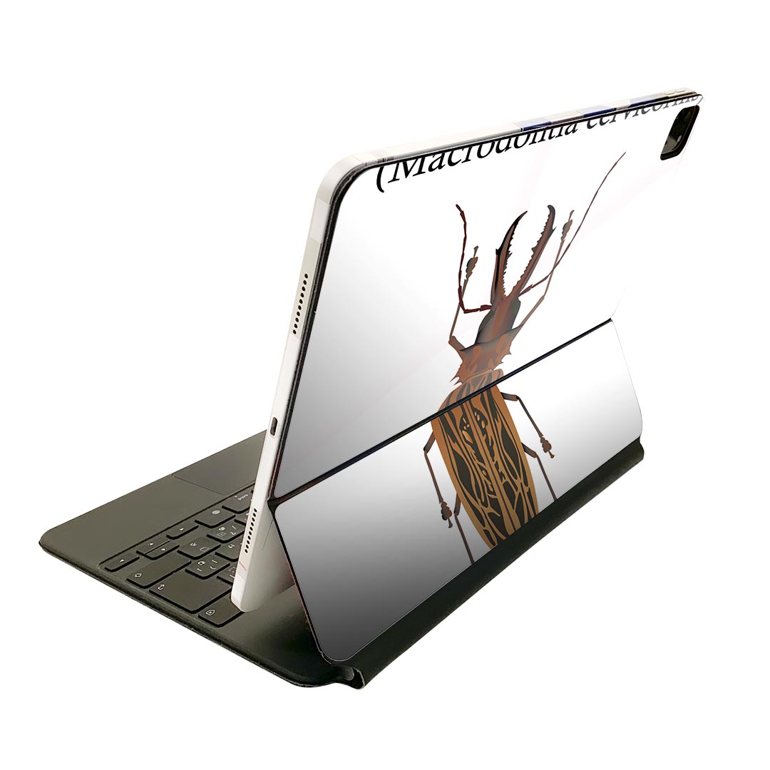 Magic Keyboard 12.9 iPad Pro4塢5塢6б apple åץ ѥåɡ̥󥷡 ե ̡ ݸ ͵ 020004  long horned beetle ߥॷ