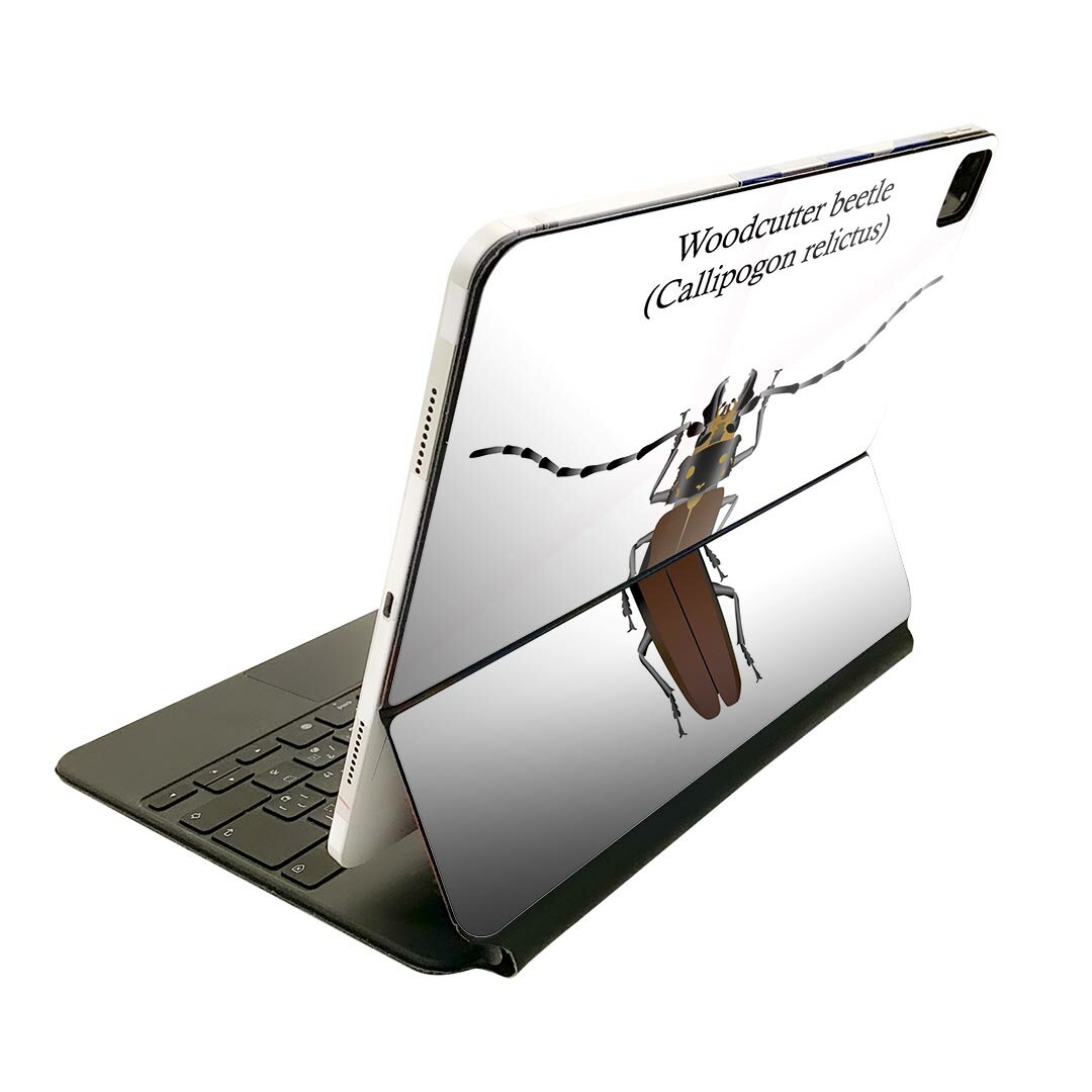 Magic Keyboard 用 スキンシール 11インチ iPad Pro用 第1-4世代 iPad Air 第4-5世代 対応 全面スキンシール フル 前面 背面 保護シール 人気 020010 虫 虫 ウッドカッターカブトムシ