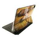Magic Keyboard 12.9インチ iPad Pro(第4世代、第5世代、第6世代)対応 apple アップル アイパッド 全面スキンシール フル 前面 背面 保護シール 人気 022839 葉っぱ 秋 写真(2)