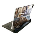 Magic Keyboard 12.9インチ iPad Pro(第4世代、第5世代、第6世代)対応 apple アップル アイパッド 全面スキンシール フル 前面 背面 保護シール 人気 猫 ねこ 動物 風景 写真 023084(2)