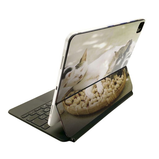 Magic Keyboard 用 スキンシール 11インチ iPad Pro用 第1-4世代 iPad Air 第4-5世代 対応 全面スキンシール フル 前面 背面 保護シール 人気 023098 猫 ねこ 動物 写真 Magic Keyboard 用 スキンシール 11インチ iPad Pro用 第1-4世代 iPad Air 第4-5世代 対応 全面スキンシール フル 前面 背面 保護シール 人気 023098 猫 ねこ 動物 写真