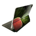 Magic Keyboard 用 スキンシール 11インチ iPad Pro用 第1-4世代 iPad Air 第4-5世代 対応 全面スキンシール フル 前面 背面 保護シール 人気 023561 スイカ 果物 フルーツ