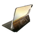 Magic Keyboard 用 スキンシール 11インチ iPad Pro用 第1-4世代 iPad Air 第4-5世代 対応 全面スキンシール フル 前面 背面 保護シール 人気 023632 風景 夕日 写真(2)