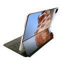 Magic Keyboard 12.9インチ iPad Pro(第4世代、第5世代、第6世代)対応 apple アップル アイパッド 全面スキンシール フル 前面 背面 保護シール 人気 シーサー 沖縄 写真 004542