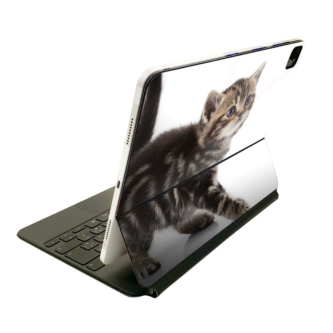 Magic Keyboard 用 スキンシール 11インチ iPad Pro用 第1-4世代 iPad Air 第4-5世代 対応 全面スキンシール フル 前面 背面 保護シール 人気 005930 アニマル 写真 動物 猫 ねこ