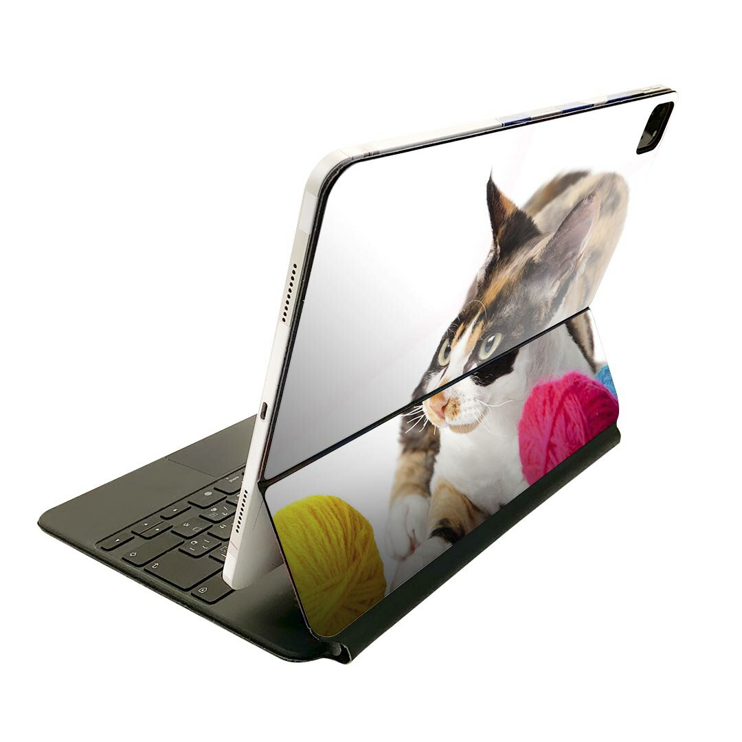Magic Keyboard 用 スキンシール 11インチ iPad Pro用 第1-4世代 iPad Air 第4-5世代 対応 全面スキンシール フル 前面 背面 保護シール 人気 005939 アニマル 写真 動物 猫 ねこ