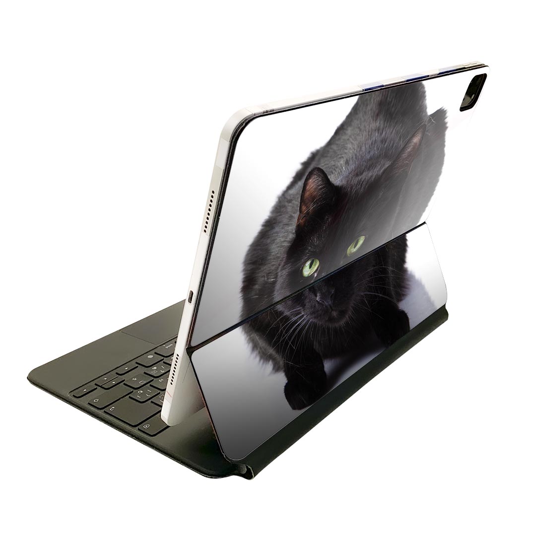 Magic Keyboard 用 スキンシール 11インチ iPad Pro用 第1-4世代 iPad Air 第4-5世代 対応 全面スキンシール フル 前面 背面 保護シール 人気 005958 アニマル 写真　動物　ねこ　猫