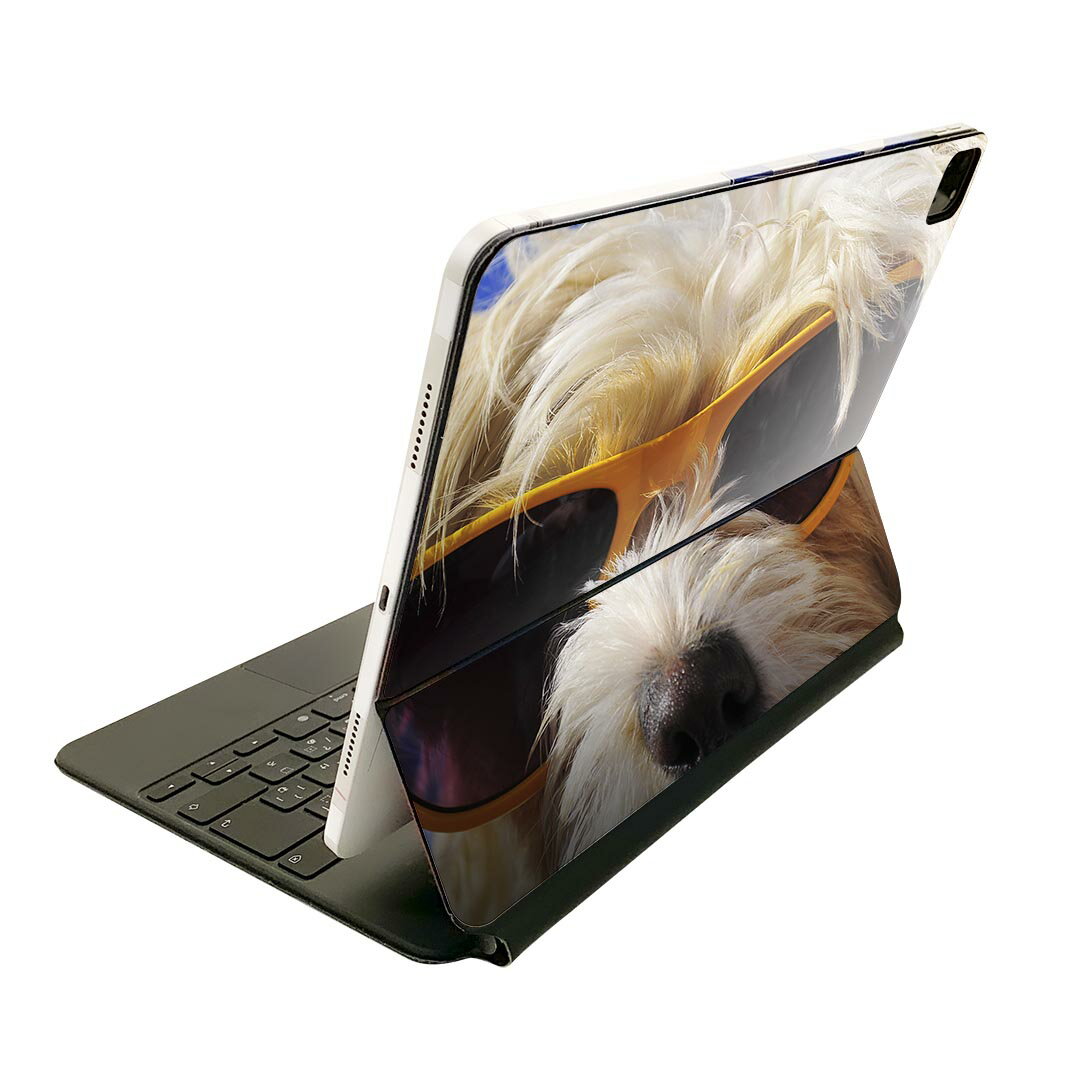 Magic Keyboard 用 スキンシール 11インチ iPad Pro用 第1-4世代 iPad Air 第4-5世代 対応 全面スキンシール フル 前面 背面 保護シール 人気 006384 アニマル 写真　動物　犬