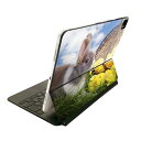 Magic Keyboard 用 スキンシール 11インチ iPad Pro用 第1-4世代 iPad Air 第4-5世代 対応 全面スキンシール フル 前面 背面 保護シール 人気 006581 写真 うさぎ 動物
