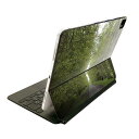Magic Keyboard 12.9インチ iPad Pro(第4世代、第5世代、第6世代)対応 apple アップル アイパッド 全面スキンシール フル 前面 背面 保護シール 人気 006601 写真 森 植物(2)