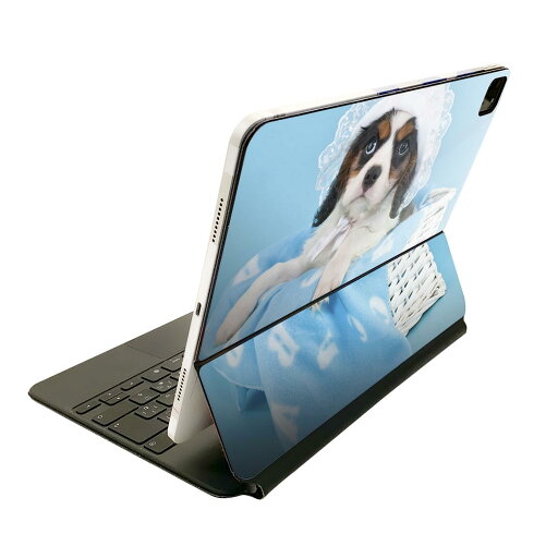Magic Keyboard 用 スキンシール 11インチ iPad Pro用 第1-4世代 iPad Air 第4-5世代 対応 全面スキンシール フル 前面 背面 保護シール 人気 008499 写真 水色 青 ブルー 犬 Magic Keyboard 用 スキンシール 11インチ iPad Pro用 第1-4世代 iPad Air 第4-5世代 対応 全面スキンシール フル 前面 背面 保護シール 人気 008499 写真 水色 青 ブルー 犬