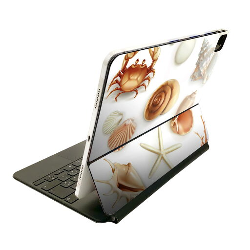 Magic Keyboard 用 スキンシール 11インチ iPad Pro用 第1-4世代 iPad Air 第4-5世代 対応 全面スキンシール フル 前面 背面 保護シール 人気 009662 貝殻 海 砂浜 Magic Keyboard 用 スキンシール 11インチ iPad Pro用 第1-4世代 iPad Air 第4-5世代 対応 全面スキンシール フル 前面 背面 保護シール 人気 009662 貝殻 海 砂浜