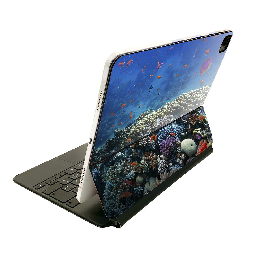 Magic Keyboard 用 スキンシール 11インチ iPad Pro用 第1-4世代 iPad Air 第4-5世代 対応 全面スキンシール フル 前面 背面 保護シール 人気 011697 海　珊瑚　写真