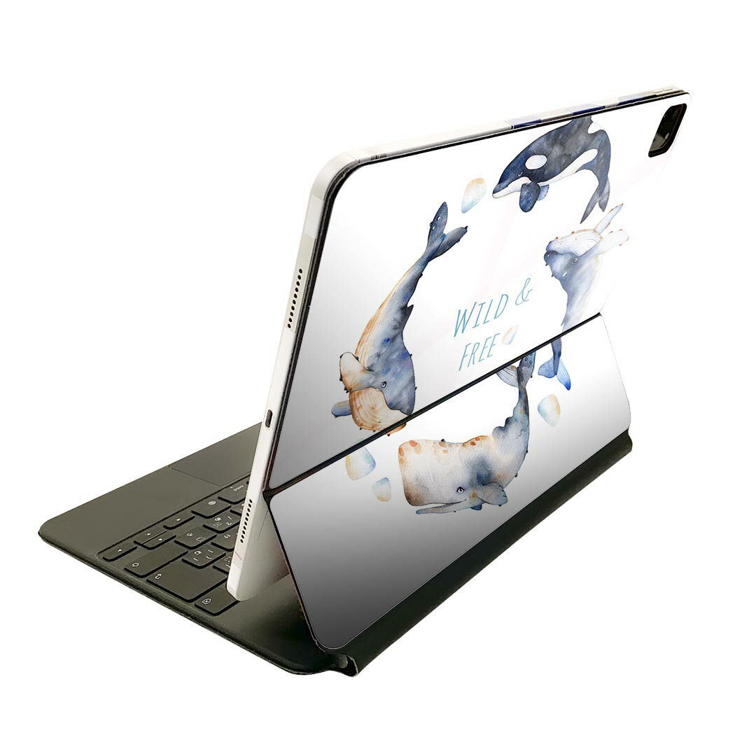 Magic Keyboard p XLV[ 11C` iPad Prop 1-4 iPad Air 4-5 Ή SʃXLV[ t O w یV[ lC 013466 @C@p