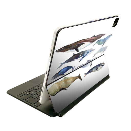 Magic Keyboard 12.9インチ iPad Pro(第4世代、第5世代、第6世代)対応 apple アップル アイパッド 全面スキンシール フル 前面 背面 保護シール 人気 魚 海 くじら シャチ 015836 Magic Keyboard 12.9インチ iPad Pro(第4世代、第5世代、第6世代)対応 apple アップル アイパッド 全面スキンシール フル 前面 背面 保護シール 人気 魚 海 くじら シャチ 015836