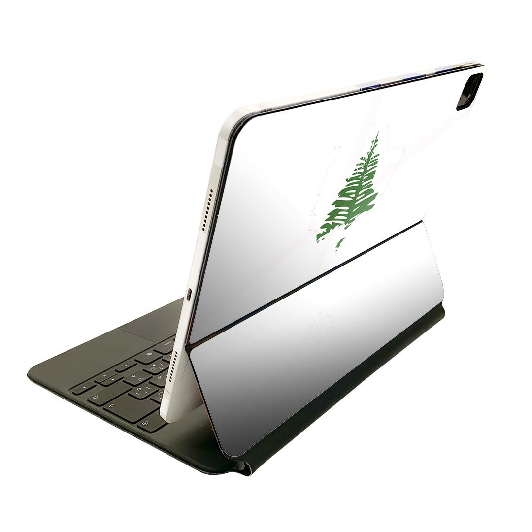 Magic Keyboard 用 スキンシール 11インチ iPad Pro用 第1-4世代 iPad Air 第4-5世代 対応 全面スキンシール フル 前面 背面 保護シール 人気 018906 国旗 norfolk_island ノーフォーク島