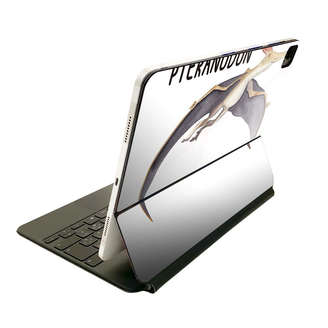 Magic Keyboard p XLV[ 11C` iPad Prop 1-4 iPad Air 4-5 Ή SʃXLV[ t O w یV[ lC 019823   Pteranodon vemh
