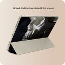 iPad Smart Folio 用 12.9インチ iPad Pro(第4世代、第5世代、第6世代)対応 apple アップル アイパッド 全面スキンシール フル 前面 背面 保護シール 人気 000010 がいこつ 黒(2)