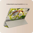 iPad Smart Folio 用 12.9インチ iPad Pro（第4世代、第5世代、第6世代）対応 apple アップル アイパッド　全面スキンシール フル 前面　背面 保護シール 人気 000144 レゲエ　ラスタカラー　ピース