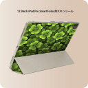 iPad Smart Folio 用 12.9インチ iPad Pro(第4世代、第5世代、第6世代)対応 apple アップル アイパッド 全面スキンシール フル 前面 背面 保護シール 人気 000713 クローバー 葉