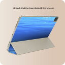 iPad Smart Folio 用 12.9インチ iPad Pro(第4世代、第5世代、第6世代)対応 apple アップル アイパッド 全面スキンシール フル 前面 背面 保護シール 人気 000864 海