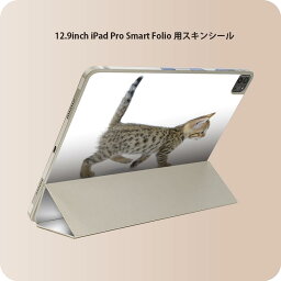 iPad Smart Folio 用 12.9インチ iPad Pro（第4世代、第5世代、第6世代）対応 apple アップル アイパッド　全面スキンシール フル 前面　背面 保護シール 人気 000915 ネコ　子猫