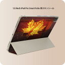 iPad Smart Folio 用 12.9インチ iPad Pro(第4世代、第5世代、第6世代)対応 apple アップル アイパッド 全面スキンシール フル 前面 背面 保護シール 人気 001253 紅葉 秋