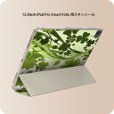 iPad Smart Folio 用 12.9インチ iPad Pro(第4世代、第5世代、第6世代)対応 apple アップル アイパッド 全面スキンシール フル 前面 背面 保護シール 人気 001315 クローバー 植物