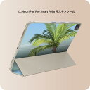 iPad Smart Folio 用 12.9インチ iPad Pro(第4世代、第5世代、第6世代)対応 apple アップル アイパッド 全面スキンシール フル 前面 背面 保護シール 人気 001430 やしの木 海