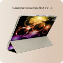 iPad Smart Folio 用 12.9インチ iPad Pro（第4世代、第5世代、第6世代）対応 apple アップル アイパッド　全面スキンシール フル 前面　背面 保護シール 人気 002259 蛍光　カラフル