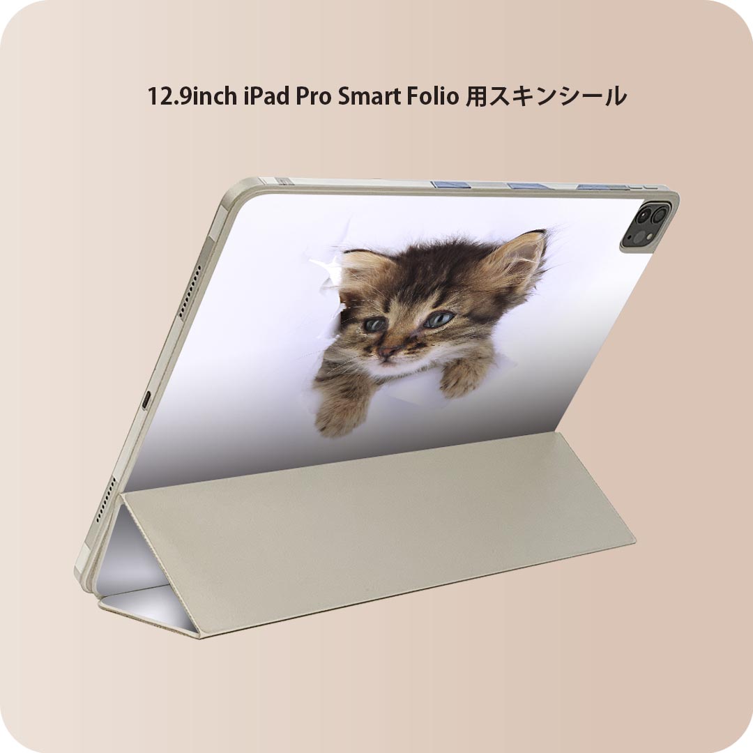 iPad Smart Folio 用 12.9インチ iPad Pro（第4世代、第5世代、第6世代）対応 apple アップル アイパッド　全面スキンシール フル 前面　背面 保護シール 人気 002892 猫　動物　写真