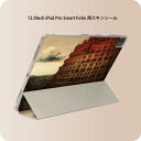 iPad Smart Folio 用 12.9インチ iPad Pro（第4世代、第5世代、第6世代）対応 apple アップル アイパッド　全面スキンシール フル 前面　背面 保護シール 人気 003211 外国　絵画　イラスト