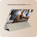 iPad Smart Folio 用 12.9インチ iPad Pro（第4世代、第5世代、第6世代）対応 apple アップル アイパッド　全面スキンシール フル 前面　背面 保護シール 人気 003590 人物　写真