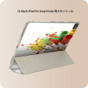 iPad Smart Folio 用 12.9インチ iPad Pro(第4世代、第5世代、第6世代)対応 apple アップル アイパッド 全面スキンシール フル 前面 背面 保護シール 人気 003636 クール 写真 カラフル(2)