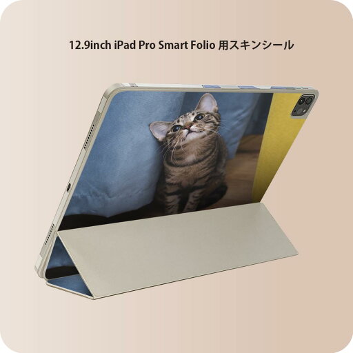 iPad Smart Folio 用 12.9インチ iPad Pro(第4世代、第5世代、第6世代)対応 apple アップル アイパッド 全面スキンシール フル 前面 背面 保護シール 人気 023082 猫 ねこ 動物 写真 iPad Smart Folio 用 12.9インチ iPad Pro(第4世代、第5世代、第6世代)対応 apple アップル アイパッド 全面スキンシール フル 前面 背面 保護シール 人気 023082 猫 ねこ 動物 写真