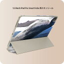 iPad Smart Folio 用 12.9インチ iPad Pro(第4世代、第5世代、第6世代)対応 apple アップル アイパッド 全面スキンシール フル 前面 背面 保護シール 人気 023966 くじら 写真 海