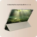 iPad Smart Folio 用 12.9インチ iPad Pro(第4世代、第5世代、第6世代)対応 apple アップル アイパッド 全面スキンシール フル 前面 背面 保護シール 人気 004644 森 写真 景色(2)