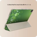 iPad Smart Folio 用 12.9インチ iPad Pro(第4世代、第5世代、第6世代)対応 apple アップル アイパッド 全面スキンシール フル 前面 背面 保護シール 人気 005488 四つ葉 クローバー