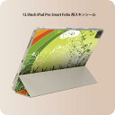 iPad Smart Folio 用 12.9インチ iPad Pro(第4世代、第5世代、第6世代)対応 apple アップル アイパッド 全面スキンシール フル 前面 背面 保護シール 人気 005563 クローバー 緑 グリーン