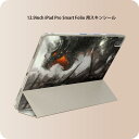 iPad Smart Folio 用 12.9インチ iPad Pro(第4世代、第5世代、第6世代)対応 apple アップル アイパッド 全面スキンシール フル 前面 背面 保護シール 人気 005902 イラスト ドラゴン ファンタジー(2)