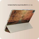 iPad Smart Folio 用 12.9インチ iPad Pro(第4世代、第5世代、第6世代)対応 apple アップル アイパッド 全面スキンシール フル 前面 背面 保護シール 人気 005919 写真 秋 並木道