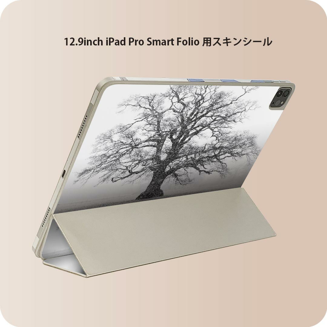 iPad Smart Folio �� 12.9����� iPad Pro����4���塢��5���塢��6������б� apple ���åץ� �����ѥå�...