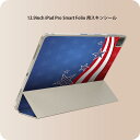 iPad Smart Folio p 12.9C` iPad Proi4A5A6jΉ apple Abv ACpbh@SʃXLV[ t Oʁ@w یV[ lC 006583 @X^[