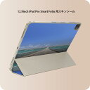 iPad Smart Folio 用 12.9インチ iPad Pro（第4世代、第5世代、第6世代）対応 apple アップル アイパッド　全面スキンシール フル 前面　背面 保護シール 人気 006742 写真　海　道路　空